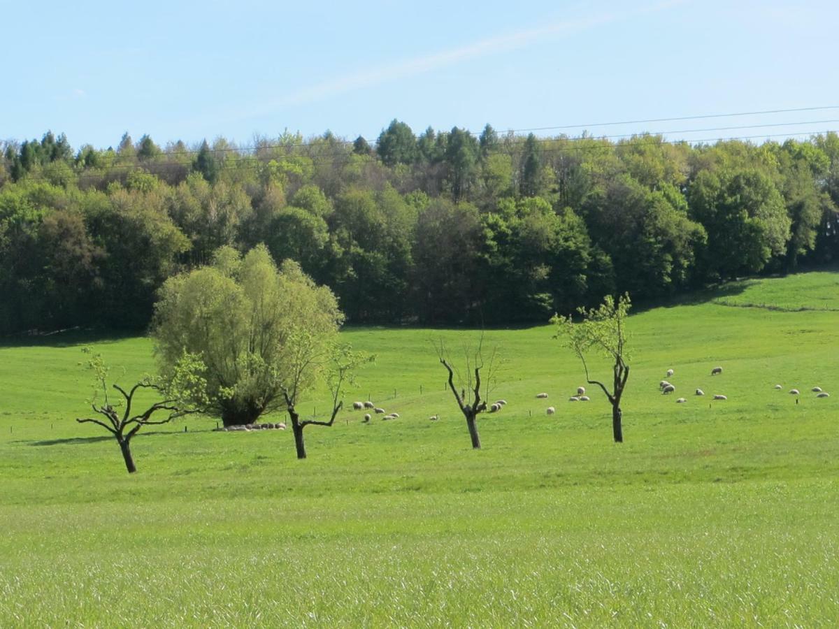 Gites Du Tilleul Gumbrechtshoffen ภายนอก รูปภาพ